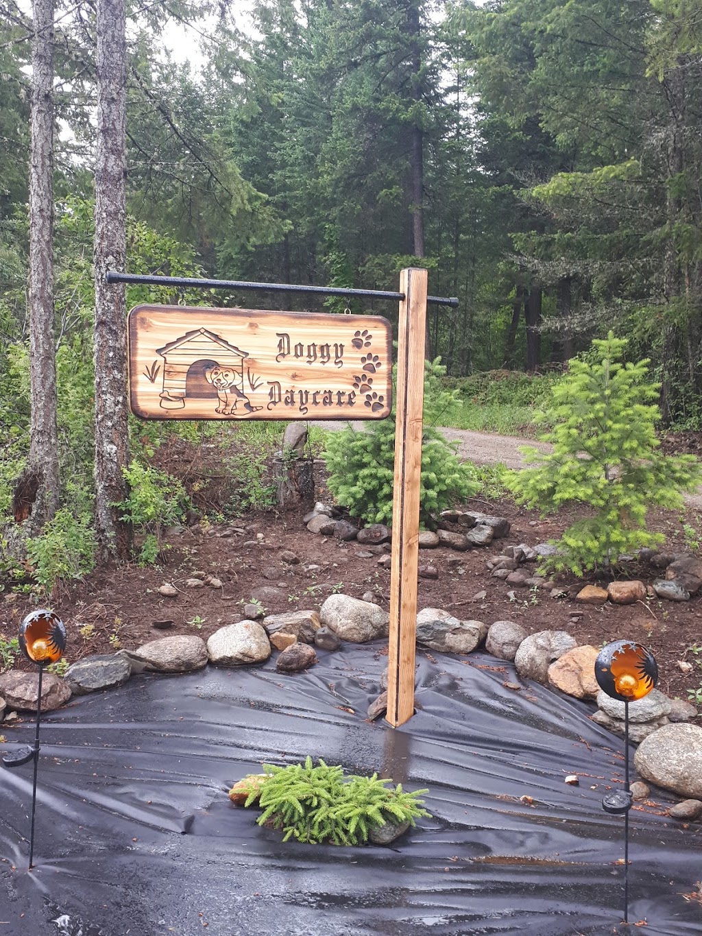 Doggy Day Care | 2801 Squilax-Anglemont Rd, Lee Creek, BC V0E 1M4, Canada | Phone: (587) 783-4325