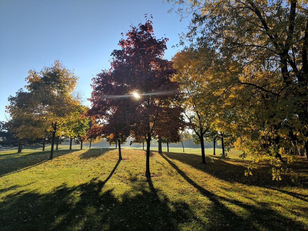 Rayfield Park | 530 Rathburn Rd E, Mississauga, ON L4Z 1E4, Canada