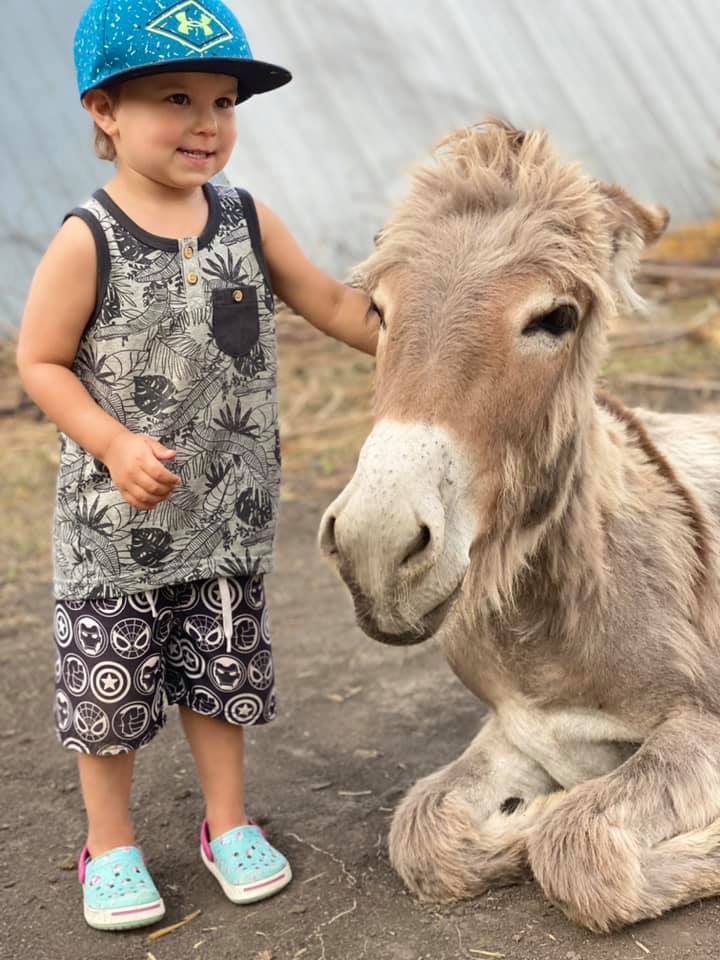 Boomers Funny Farm | 18064 Gimli Park Rd, Aspen Park, MB R0C 1B0, Canada | Phone: (204) 891-0211