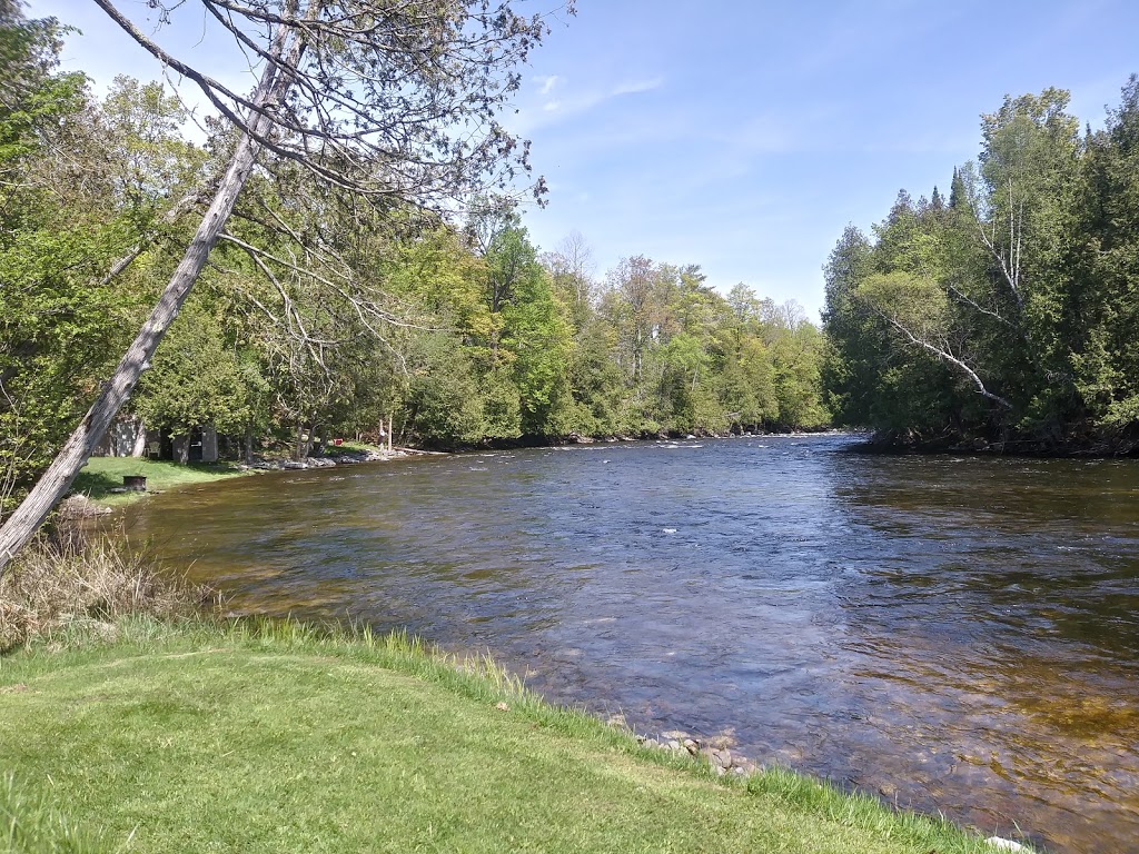 eco friendly treehouse | 1414 Sheridan Rapids Rd, Lanark, ON K0G 1K0, Canada | Phone: (613) 464-0057