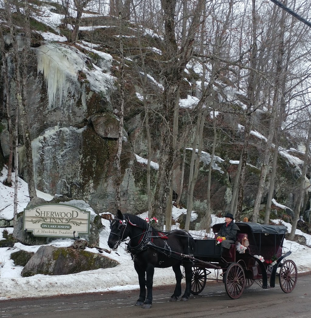 Twin Maples Farm | 1227 Base Line Rd, Severn Bridge, ON P0E 1N0, Canada | Phone: (705) 689-0182