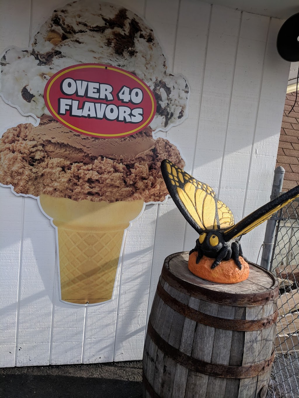 Dan the Man Ice Cream Stand | 2460 Niagara Falls Blvd, Niagara Falls, NY 14304, USA | Phone: (716) 868-3732