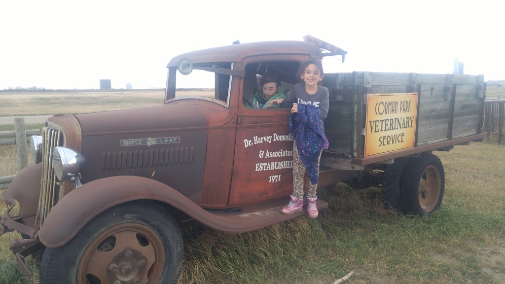 Corman Park Vet Services | Highway 14 west, Saskatoon, SK S7K 3K1, Canada | Phone: (306) 384-7676