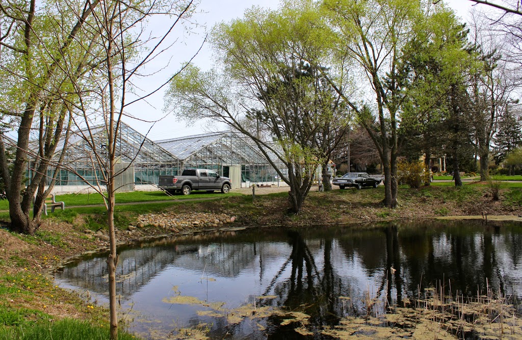 Prince Greenhouses | 687003 Oxford 2, Princeton, ON N0J 1V0, Canada | Phone: (226) 802-4519