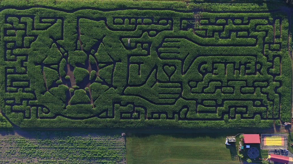 Chilliwack Corn Maze & Pumpkin Farm | 41905 Yale Rd W, Chilliwack, BC V2R 4J4, Canada | Phone: (604) 845-5284