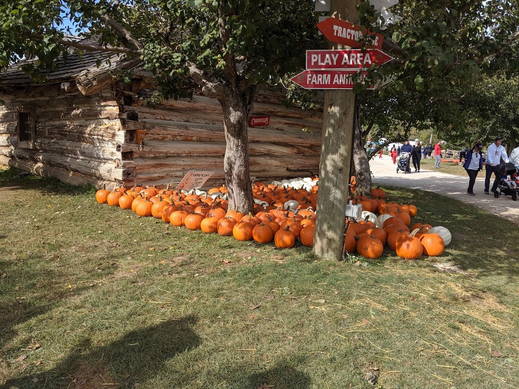 Chudleigh’s Entertainment Farm | 9528 Regional Rd 25, Milton, ON L9T 2X7, Canada | Phone: (905) 878-9547