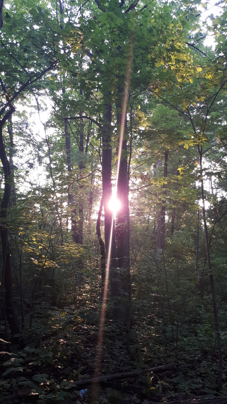 Walnut Woods Trail | 1830 Kyle Ct, London, ON N6G 0A6, Canada