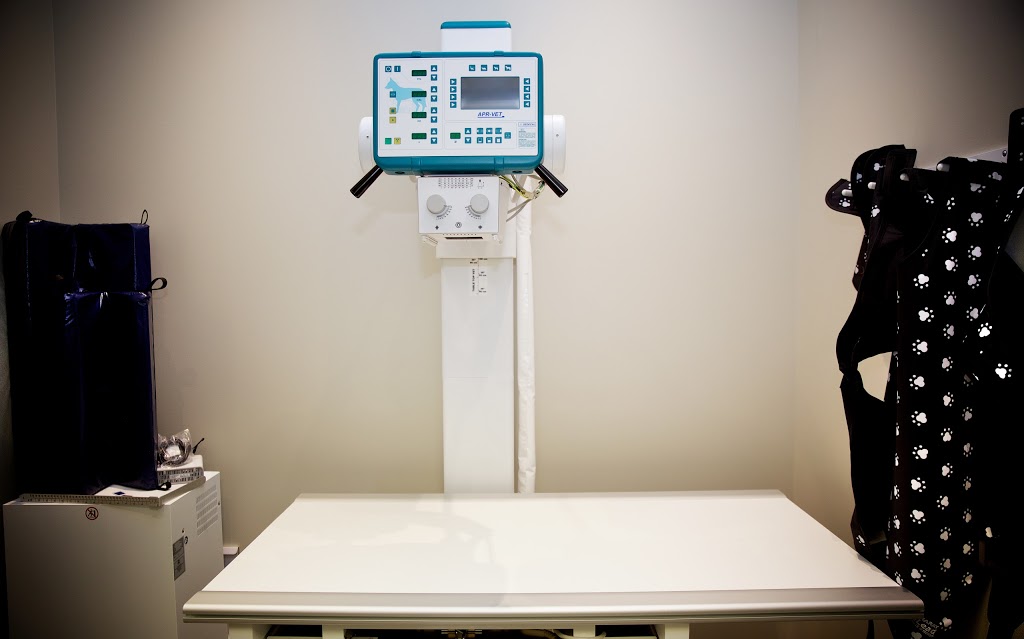 Hôpital Vétérinaire Passion Compassion | 650 Rue de Montbrun #106, Boucherville, QC J4B 8G9, Canada | Phone: (450) 906-6090