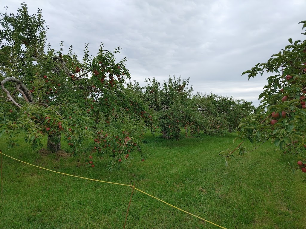 Jude-Pomme | 223 Rang Sainte-Sophie, Oka, QC J0N 1E0, Canada | Phone: (450) 479-6080