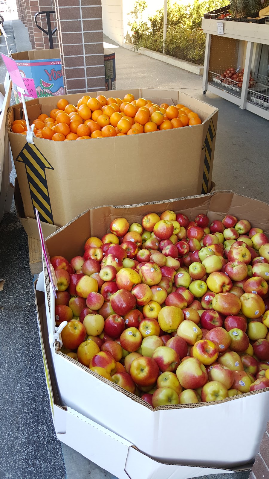 Shiraz Farm Markt | 552 Clarke Rd #405, Coquitlam, BC V3J 0A3, Canada