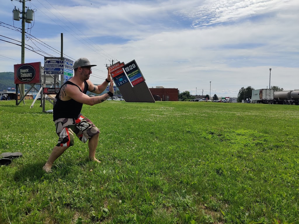 Tabagie Amusement Le Village | 2 Chemin de lÉquerre, Baie-Saint-Paul, QC G3Z 2Y5, Canada | Phone: (418) 435-3556