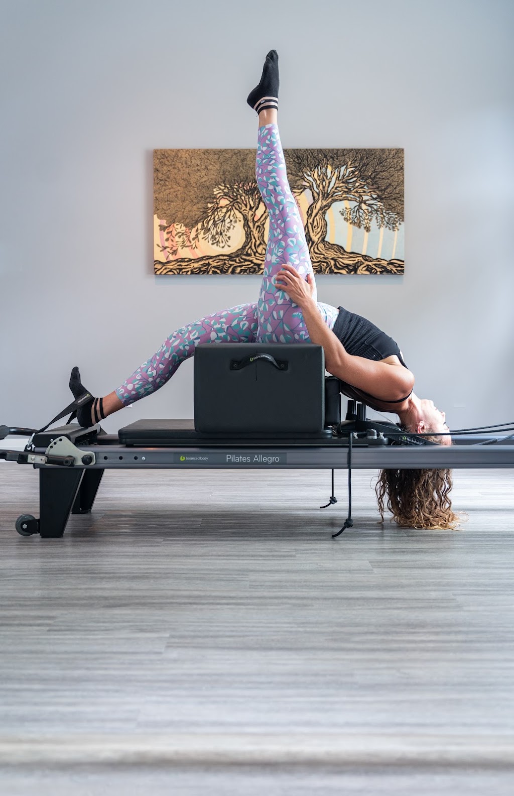 Peak with Pilates | 205 Sunset Blvd, Thornbury, ON N0H 2P0, Canada | Phone: (705) 888-8723