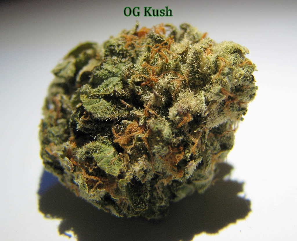 WildeLeaf | 13a Ave, Surrey, BC V4A, Canada | Phone: (604) 842-5159