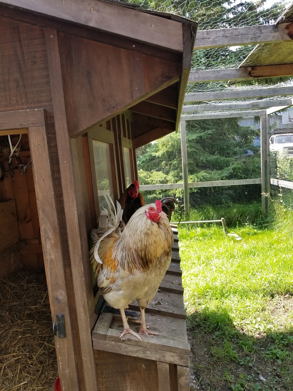 Wishing Well Sanctuary | 2710 Line 10, Bradford, ON L3Z 2A5, Canada | Phone: (905) 775-9179