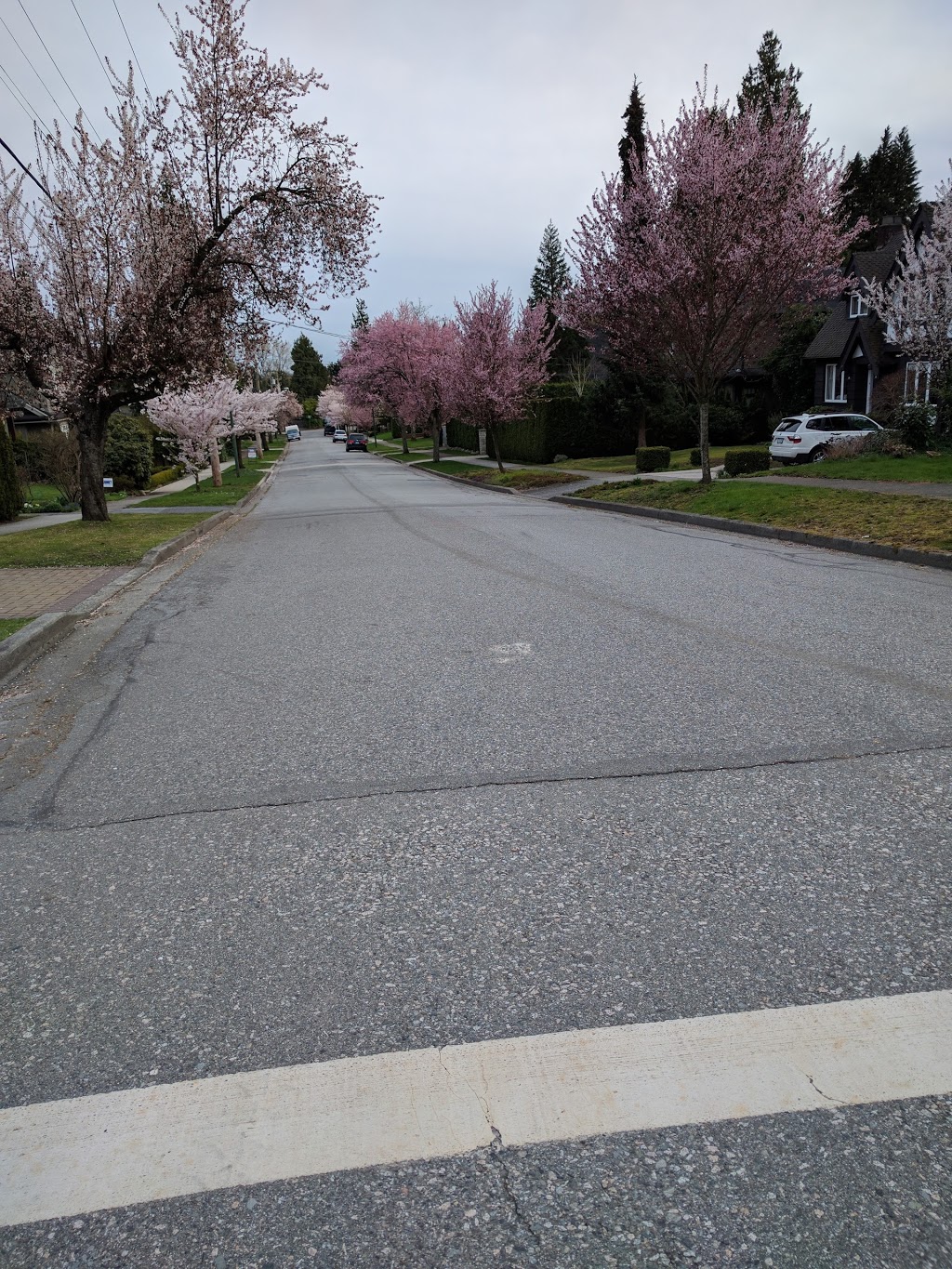 Musqueam Park | 4000 SW Marine Dr, Vancouver, BC V6N 2B8, Canada | Phone: (604) 873-7000