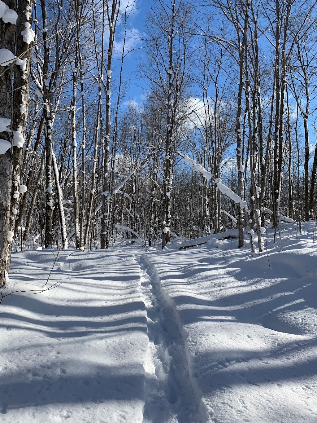 The Wellness Farm | 240185 Wilcox Side Rd, Owen Sound, ON N4K 5N7, Canada | Phone: (519) 374-5110