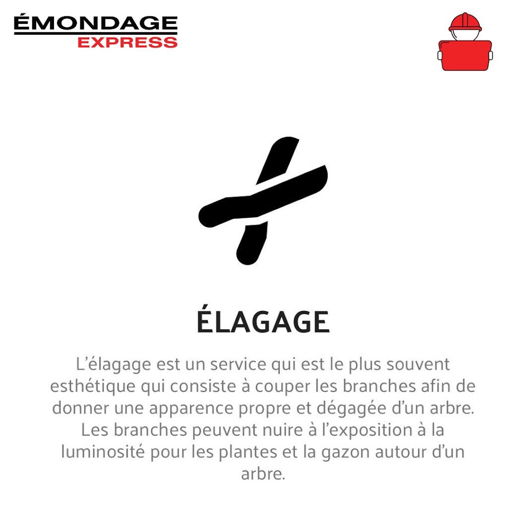Émondage Express | 99A Bd de lAéroport, Bromont, QC J2L 1S8, Canada | Phone: (833) 624-7669