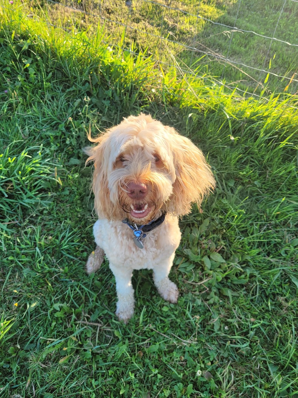 Muddy Paws Adventures, Nova Scotia | 820 McKay Rd, McKay Section, NS B0N 2A0, Canada | Phone: (902) 440-4872