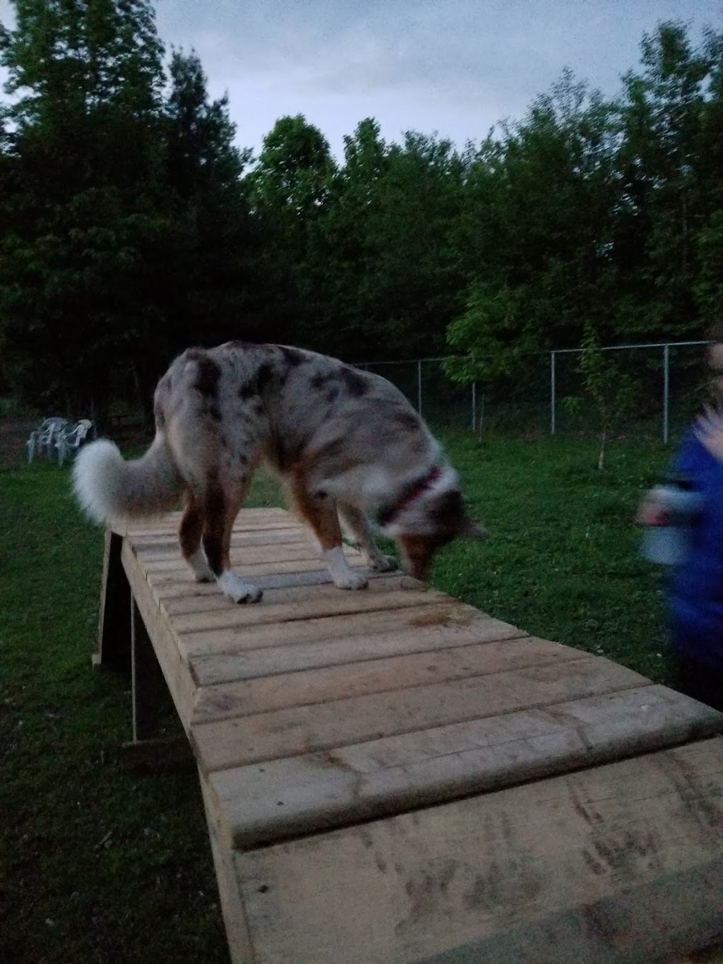 Staff Sergeant Larry Bigley K-9 Park | John St S, Gravenhurst, ON P1P 1J9, Canada | Phone: (705) 687-3412