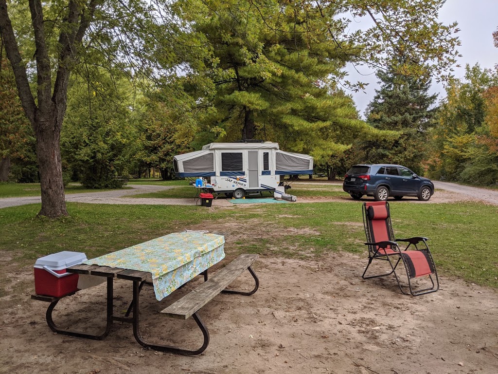 Balsam Lake Provincial Park | 2238 Kawartha Lakes County Rd 48, Kirkfield, ON K0M 2B0, Canada | Phone: (705) 454-3324