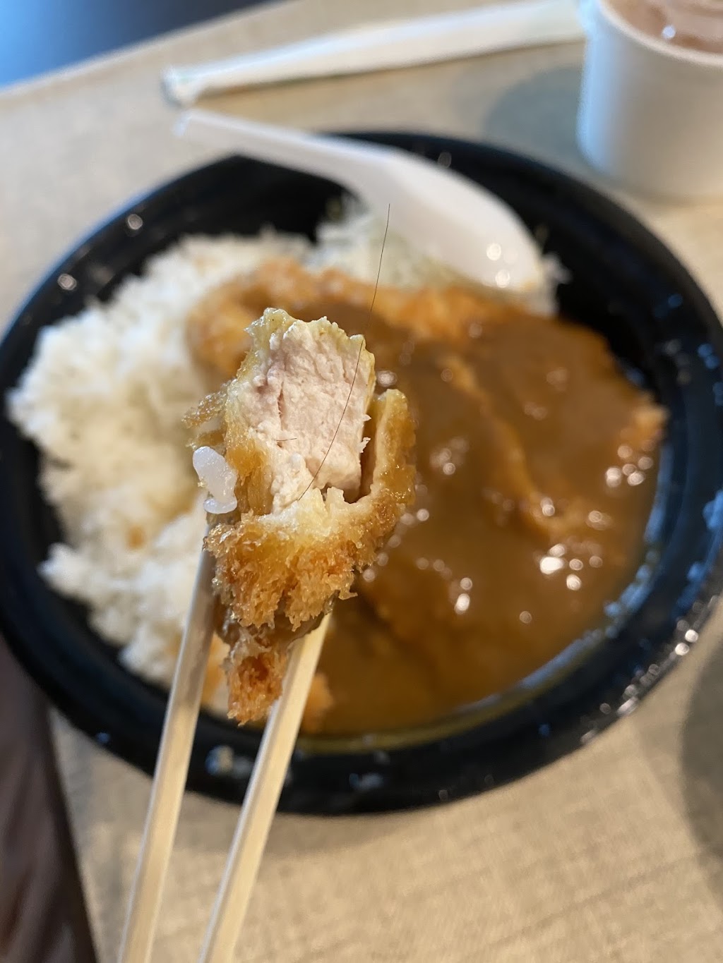 Saboten Express | 4567 Lougheed Hwy., Burnaby, BC V5C 3Z6, Canada | Phone: (604) 292-6363