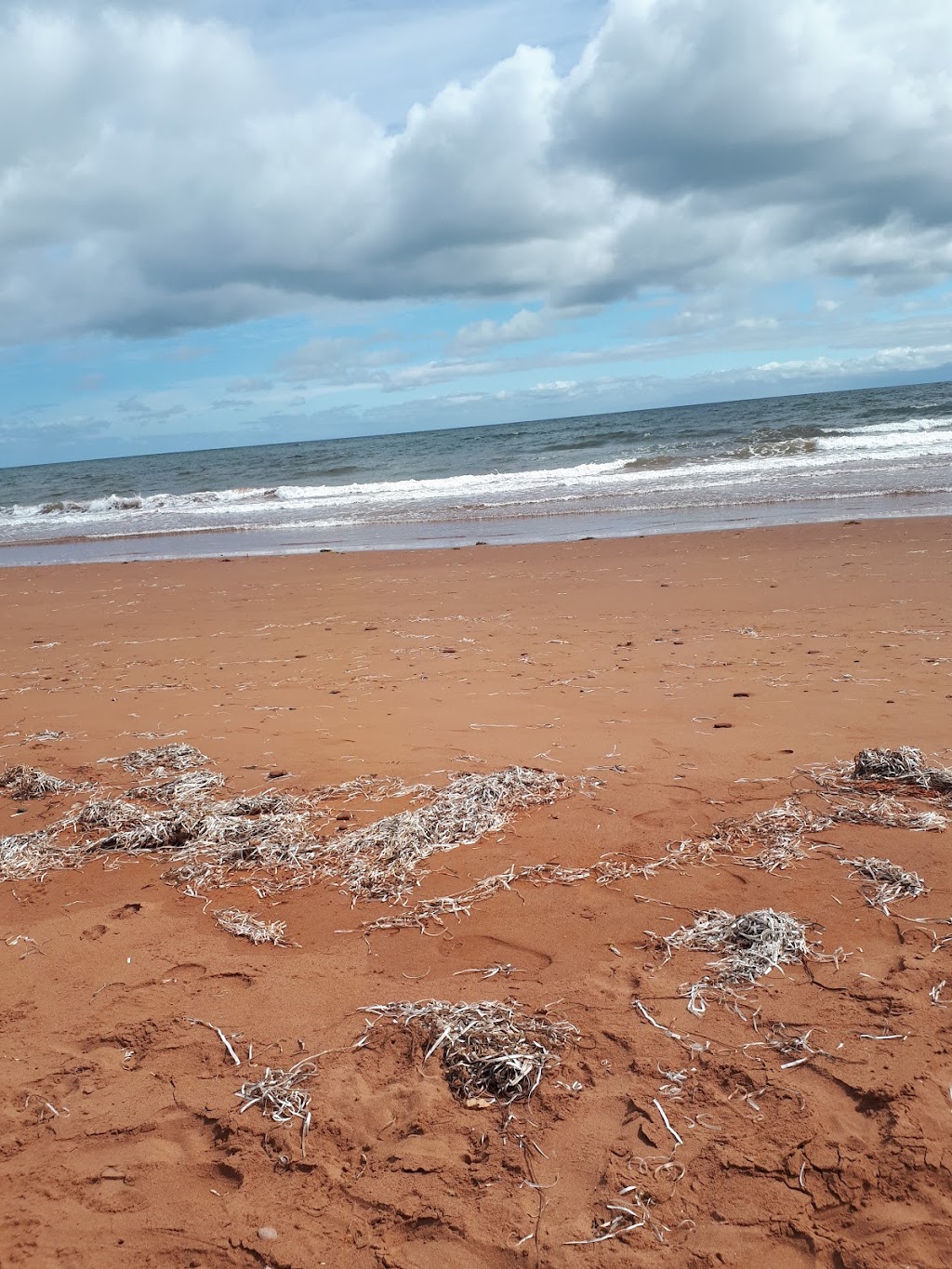 Fishermens Haven Park and Ice Cream Shop | Tignish Shore Rd, Tignish, PE C0B 2B0, Canada | Phone: (902) 882-5600