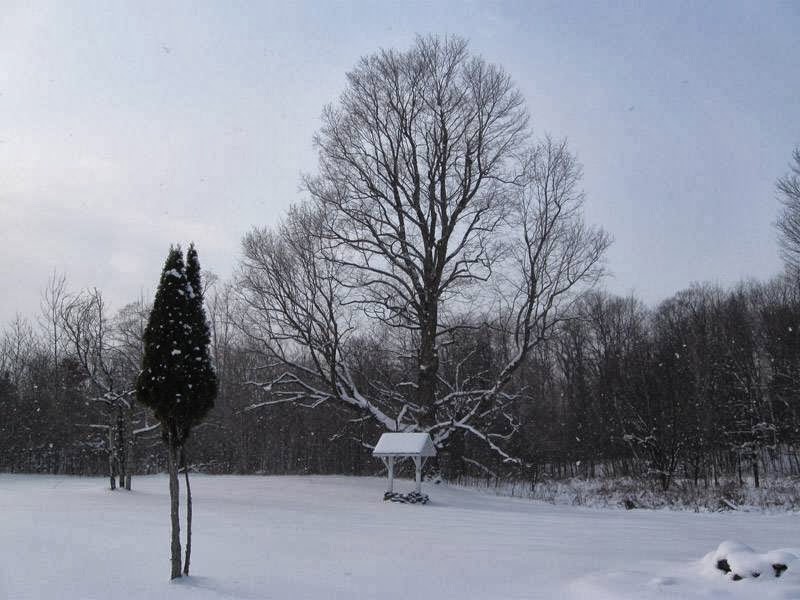 Cabane à sucre du Coteau | 2200 Chemin du Coteau - des - Hêtres S, Saint-André-dArgenteuil, QC J0V 1X0, Canada | Phone: (450) 537-3768