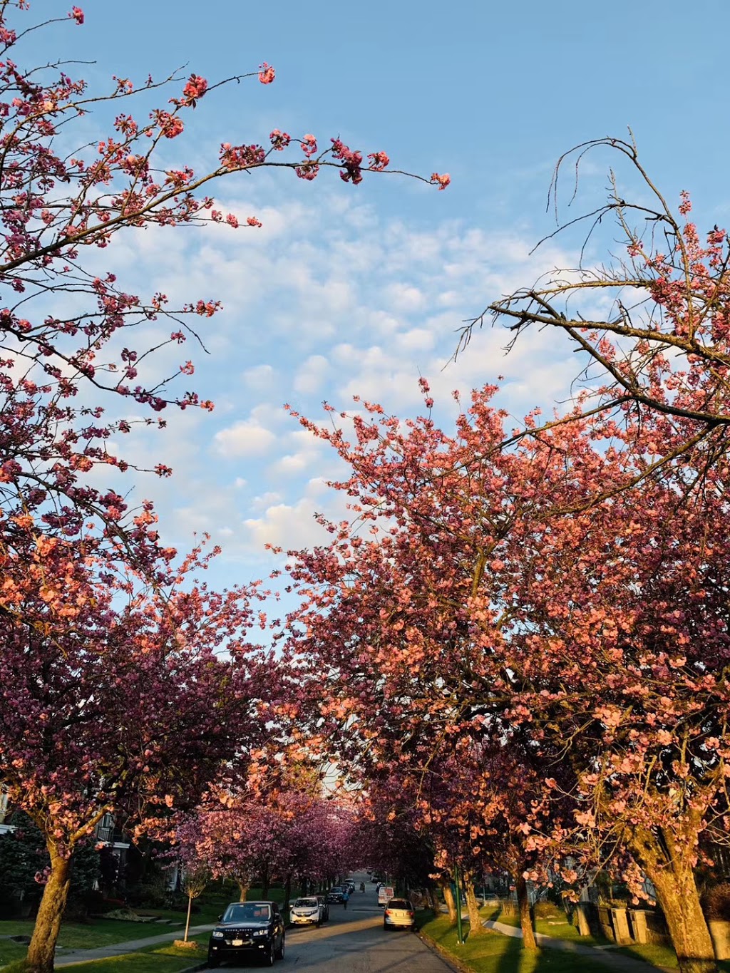 Columbia Park | Columbia Park, 5908 Alberta St, Vancouver, BC V5Y 3M9, Canada | Phone: (604) 873-7000