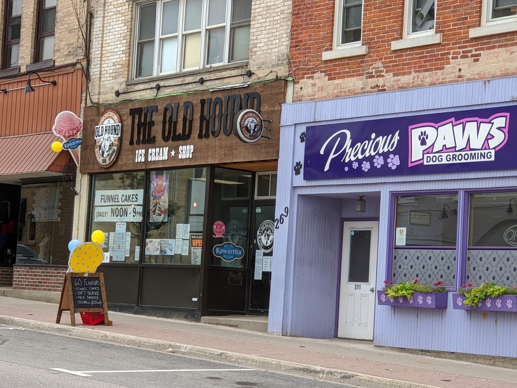 The Old Hound | 273 Main St S, Mount Forest, ON N0G 2L1, Canada | Phone: (519) 509-8565