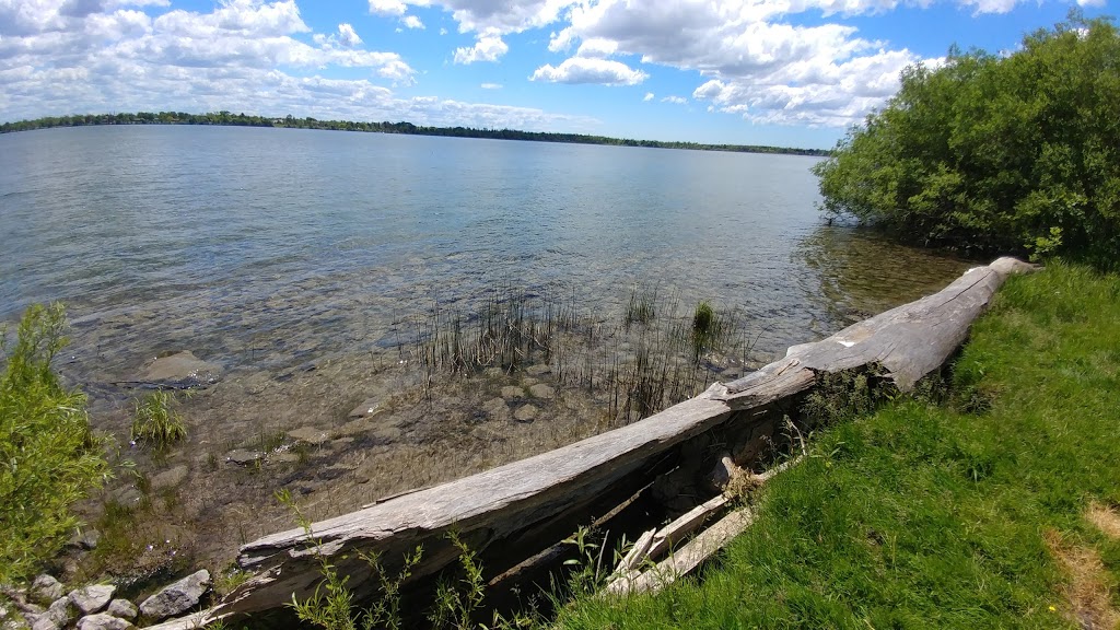 River Lea | Park Rd, Grand Island, NY 14072, USA