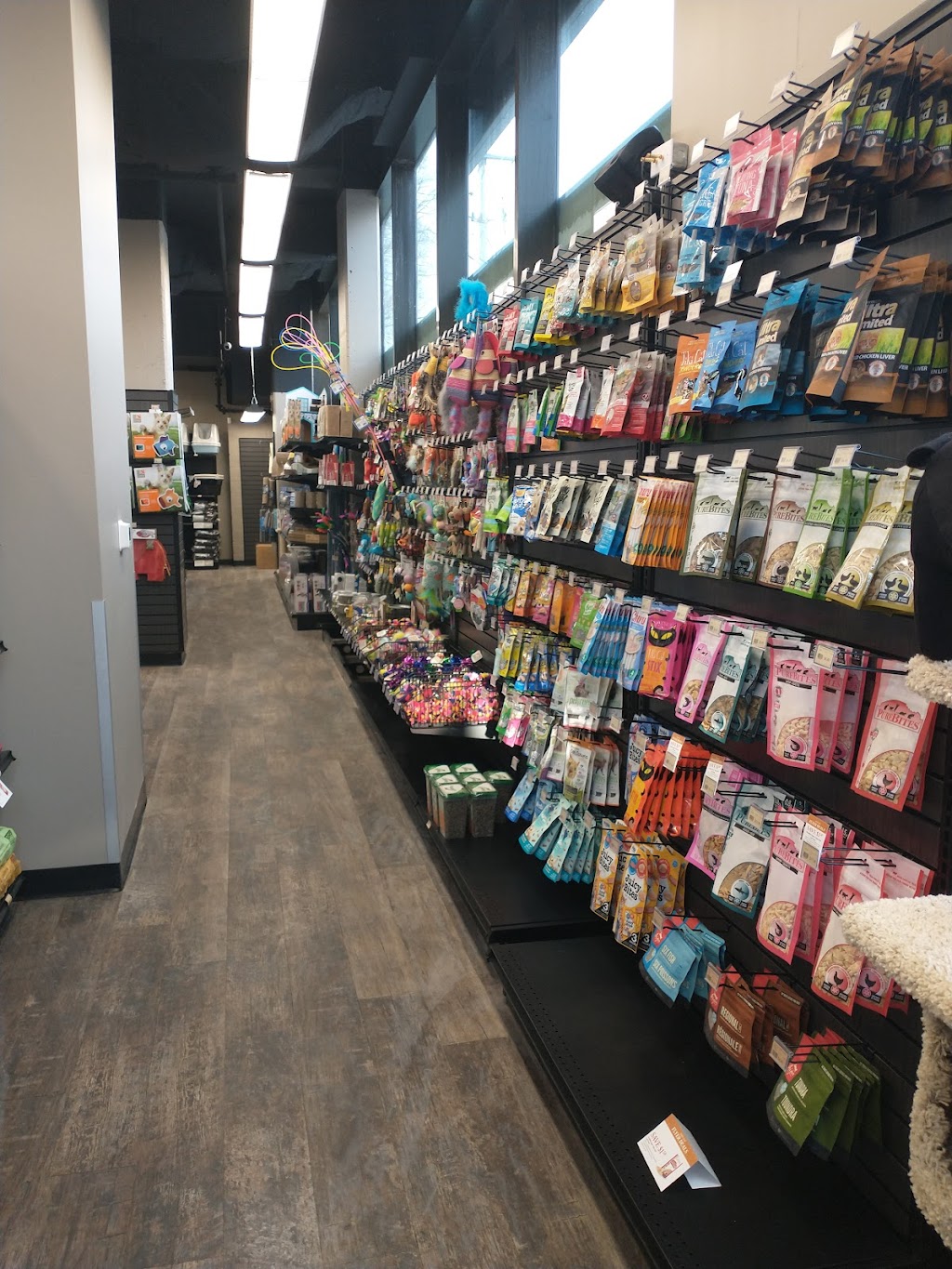 Pet Valu | 851 Queen St E Unit 1, Toronto, ON M4M 1J2, Canada | Phone: (416) 901-4412