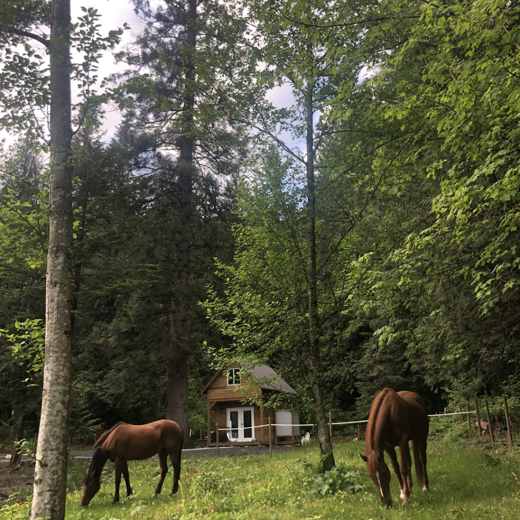 Cultus Lake Lakewood Vacation Cabin | 4485 Columbia Valley Hwy, Cultus Lake, BC V2R 5B6, Canada | Phone: (604) 791-3361