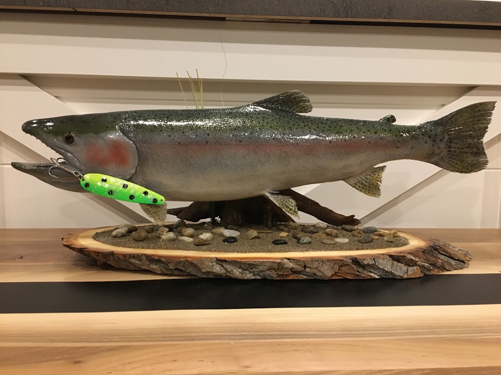 Jrs Fish Taxidermy | 2030 Beaverdale Rd, Cambridge, ON N3H 4R6, Canada | Phone: (519) 729-3474