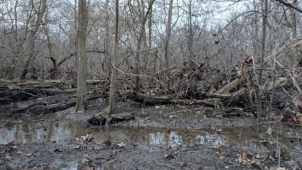 Stoneybrook Recreation Field | 815 Windermere Rd, London, ON N5X, Canada