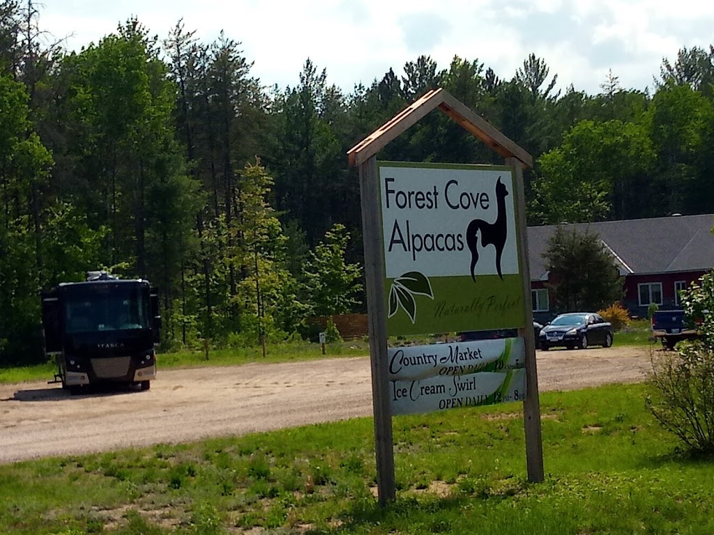 Forest Cove Alpacas & Country Market | 32129 ON-17, Chalk River, ON K0J 1J0, Canada | Phone: (613) 281-0688