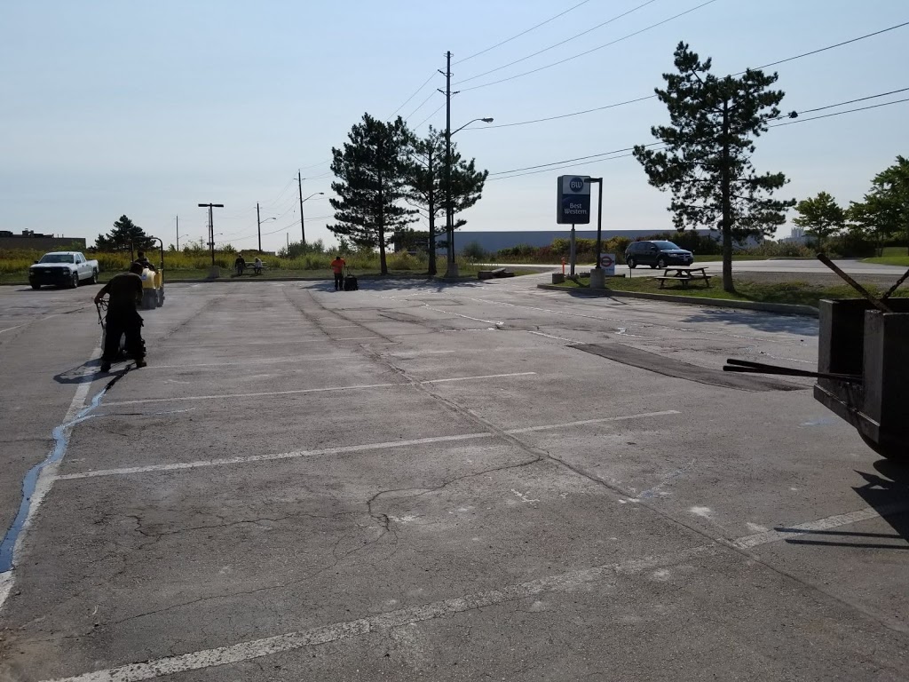 Shield Kings | 20 Enfield Dr, Cambridge, ON N1P 1A5, Canada | Phone: (877) 389-0043
