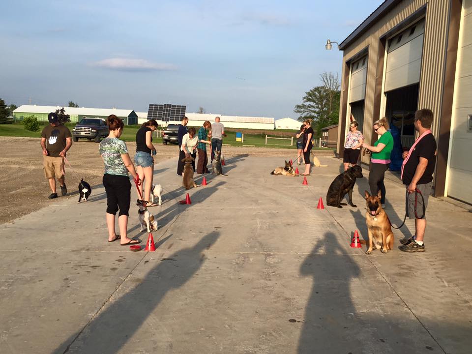 Pawsitive Canine Connection | RR#2, 6444 Line 86, West Montrose, ON N0B 2V0, Canada | Phone: (519) 500-3594