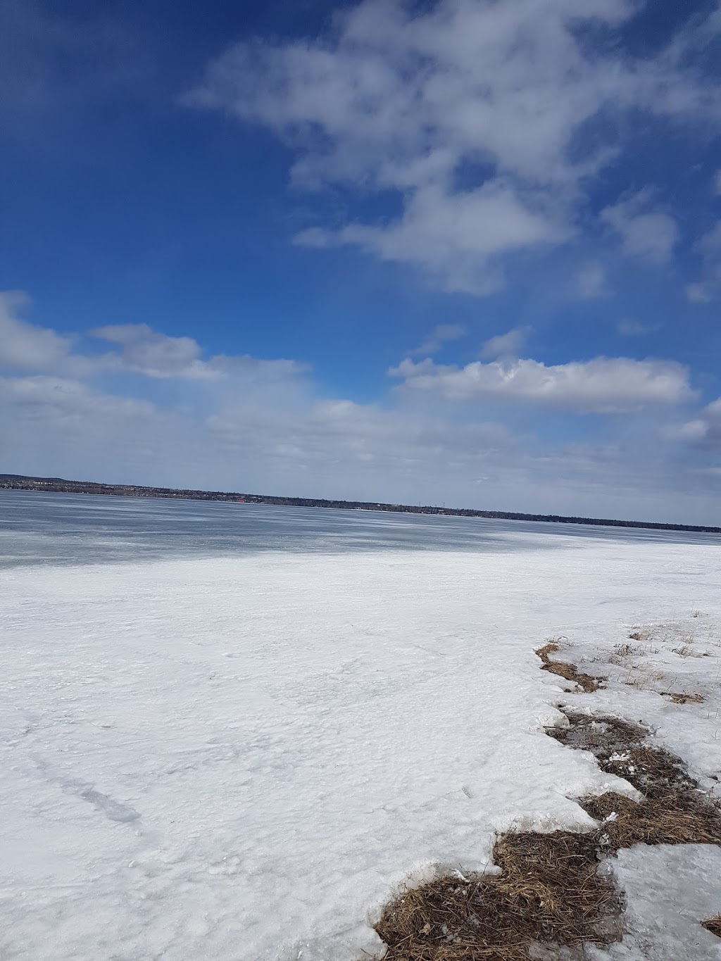 Shirleys Bay Park | Shirley Blvd, Ottawa, ON K2K 2Z2, Canada