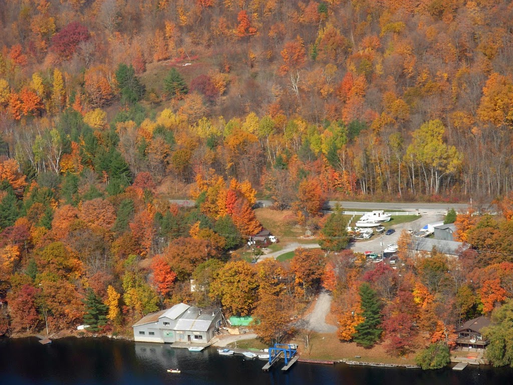 Bayview Marina | 832 Northeys Bay Rd, Woodview, ON K0L 3E0, Canada | Phone: (705) 654-4409