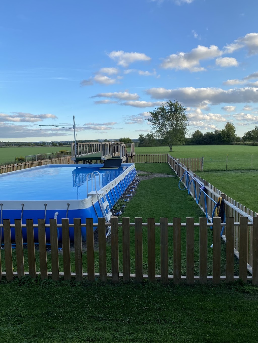Devlin Farms | 6311 12th Line, Alliston, ON L9R 1V4, Canada | Phone: (705) 204-7099