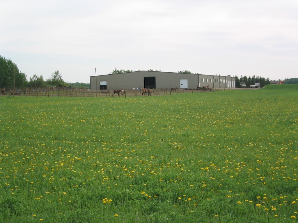 Neitak Equestrian Ltd. | 50416, Range Rd 10, AB T7Y 2A1, Canada | Phone: (780) 963-1230
