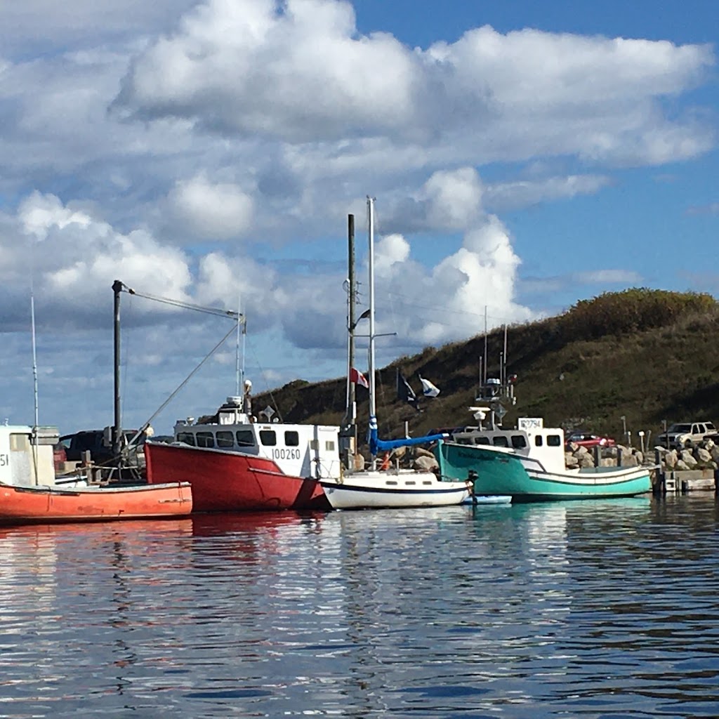 Sail and See, a sailing experience | 683 Main St, Mahone Bay, NS B0J 2E0, Canada | Phone: (902) 541-0399