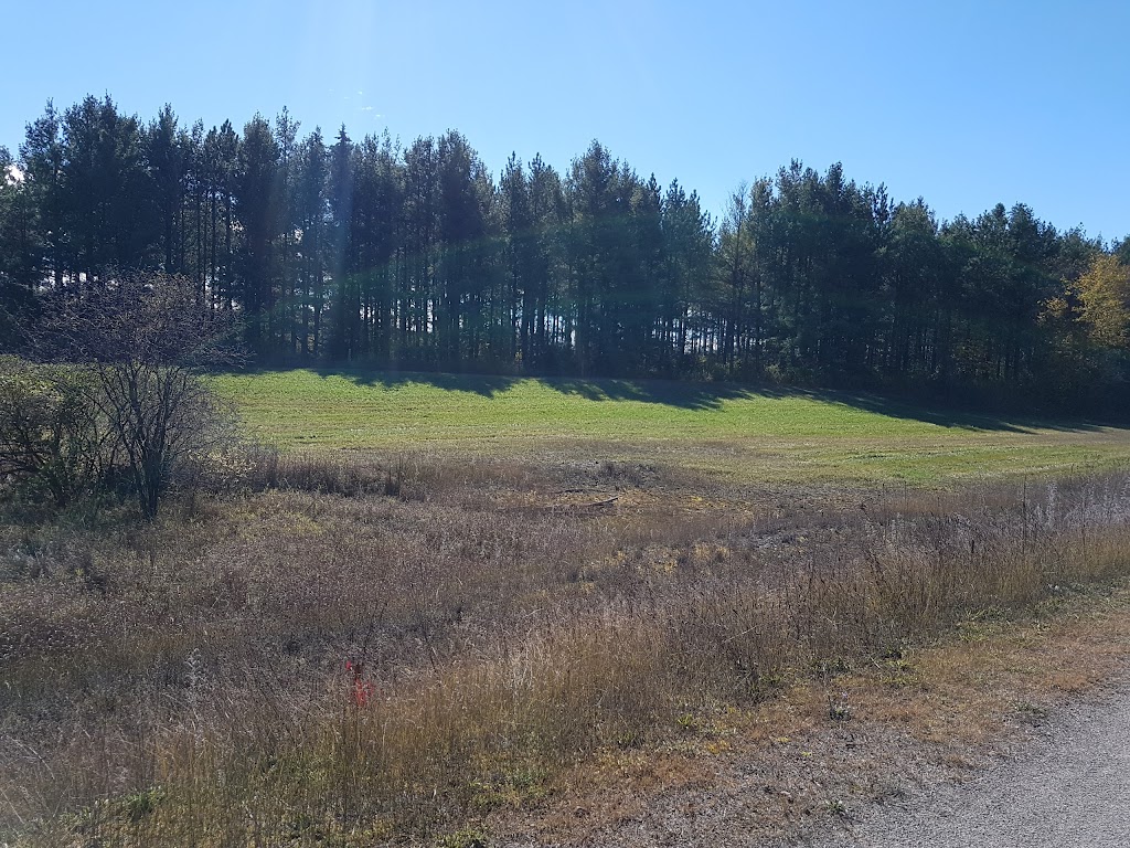 Epona Stables Ltd | 9760 22 Sideroad, Erin, ON N0B 1T0, Canada | Phone: (416) 725-2731
