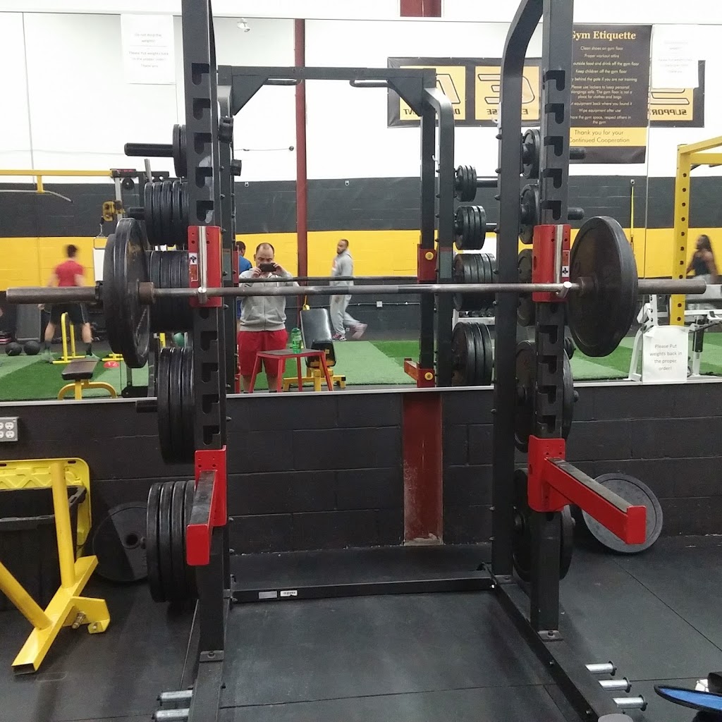 Shed Fitness And Conditioning | 1420 Bayly St #11, Pickering, ON L1W 3R2, Canada | Phone: (905) 492-7433