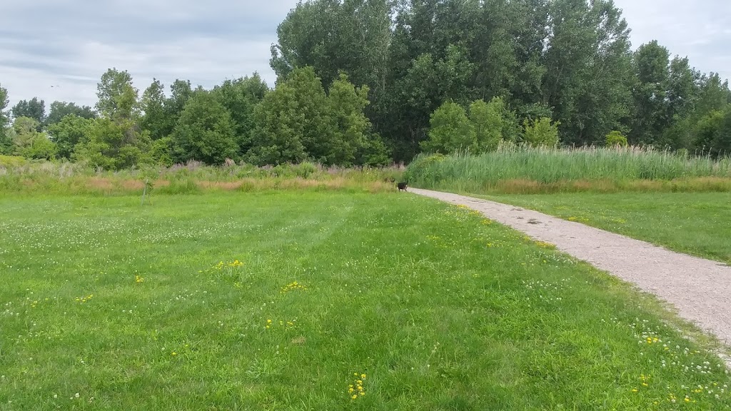Ruscom Shores Conservation Area | Pointe aux Roches, Lakeshore, ON N0R 1S0, Canada | Phone: (519) 776-5209