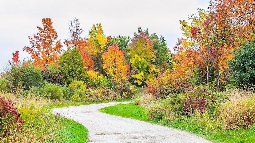 Stone Tree - Golf, Fitness and Banquets | 318085 Hwy 6&10, Owen Sound, ON N4K 5N6, Canada | Phone: (519) 376-7899
