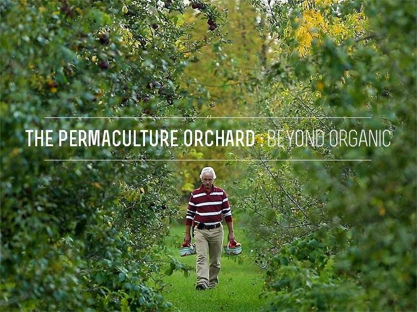 Les Fermes Miracle Farms | 2034 Chemin de la Rivière-La Guerre, St-Anicet, QC J0S 1B0, Canada | Phone: (514) 830-9640