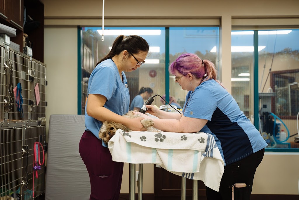 Boundary Bay Veterinary Specialty Hospital | 20434 64 Ave #202, Langley City, BC V2Y 1N4, Canada | Phone: (604) 514-8383