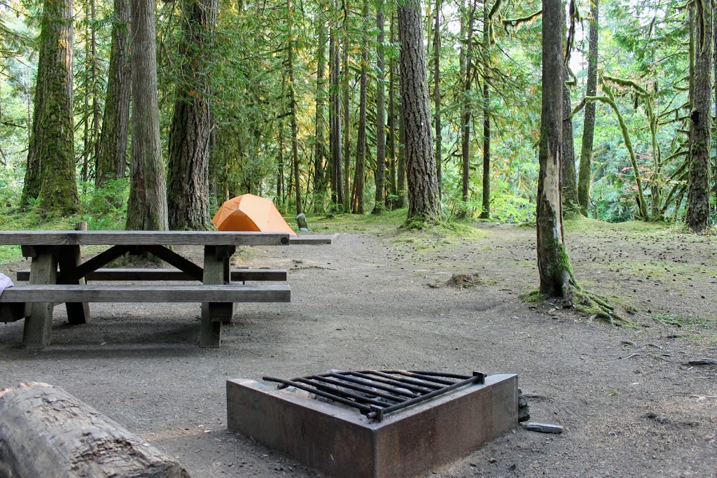 Douglas Fir Campground | Mt Baker Hwy, Deming, WA 98244, USA | Phone: (541) 338-7869