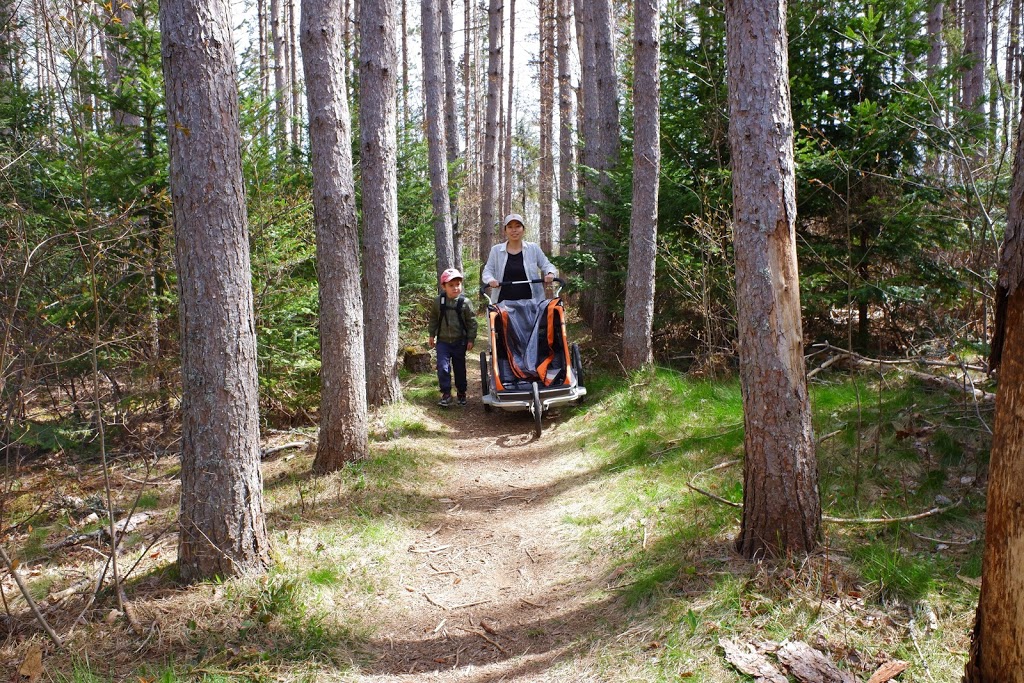 MacElmons Pond Provincial Park | 219 MacElmon Rd, Debert, NS B0M 1G0, Canada | Phone: (866) 230-1586